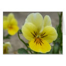 Search for violas cards Nature