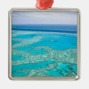 Search for coral christmas tree decorations Tropical