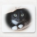 Search for cats mouse mats Black and white cat