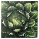 Search for tucson tiles Flora