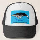 Search for blue whale hats Animal