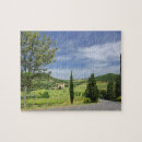 Search for cypress tree Europe