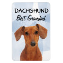 Search for dachshund magnets Pets