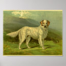 Search for english setter art Vintage
