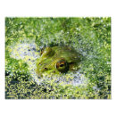 Search for bubble art Wildlife