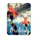 Search for orchids magnets Photography
