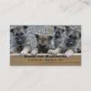 Search for norwegian business cards Dog