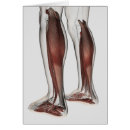 Search for stocking legs postcards Low section