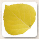 Search for aspen coasters Colorado