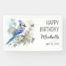 Search for blue jay Nature