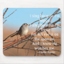 Search for singing bird electronics Sparrow