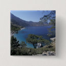 Search for shorelines badges Tropical