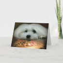 Search for malts cards Maltese