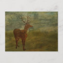 Search for red hill postcards Scenic