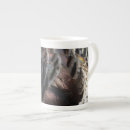 Search for wild turkeys mugs Nature
