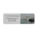 Search for seagull return address labels Birds