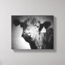 Search for black and white cow canvas prints Agriculture