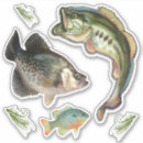 Search for white bass stickers Fishing