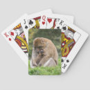 Search for baby playing cards Mammal