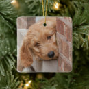 Search for mixed breed christmas tree decorations Puppy