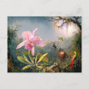 Search for cattleya orchid postcards Birds