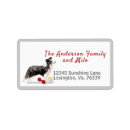 Search for border collie return address labels Pet