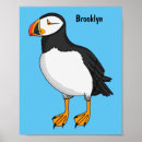 Search for atlantic puffin posters Fratercula arctica