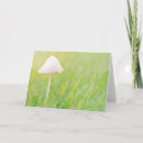Search for magic mushrooms cards Nature