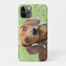 Search for alertness iphone cases Curious