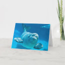Search for beluga cards Adorable