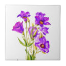 Search for texas wildflower tiles Wildflowers