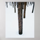 Search for tree trunks posters Forest