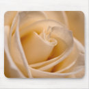 Search for rose macro electronics Blossom