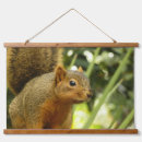 Search for hanging photography Nature