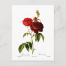 Search for deep red postcards Flower