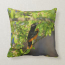 Search for oriole cushions Nature