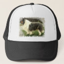 Search for roughing it hats Pets