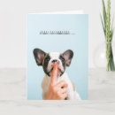 Search for frenchies cards Frenchy