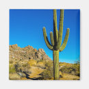 Search for sonoran magnets Southwest