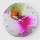 Search for ladybug clocks Photography