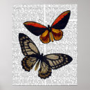 Search for flies posters Steampunk