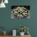 Search for cucumber posters Vegan