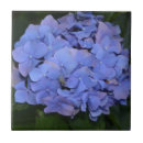 Search for hydrangea tiles Botanical