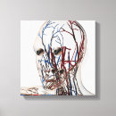 Search for female body canvas prints Healthcare