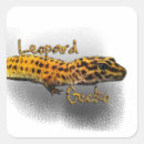 Search for gecko stickers Leopard