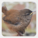 Search for wrens stickers Nature