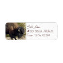 Search for american buffalo return address labels Bison