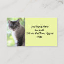 Search for furry business cards Cute