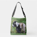 Search for newborn bags Funny