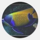 Search for angelfish stickers Animals